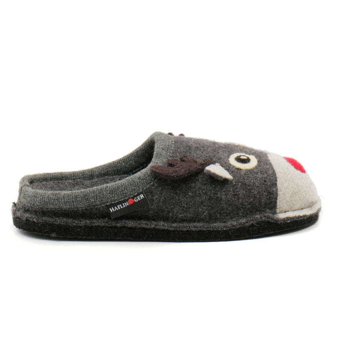 AI21---haflinger---RENNA31308904