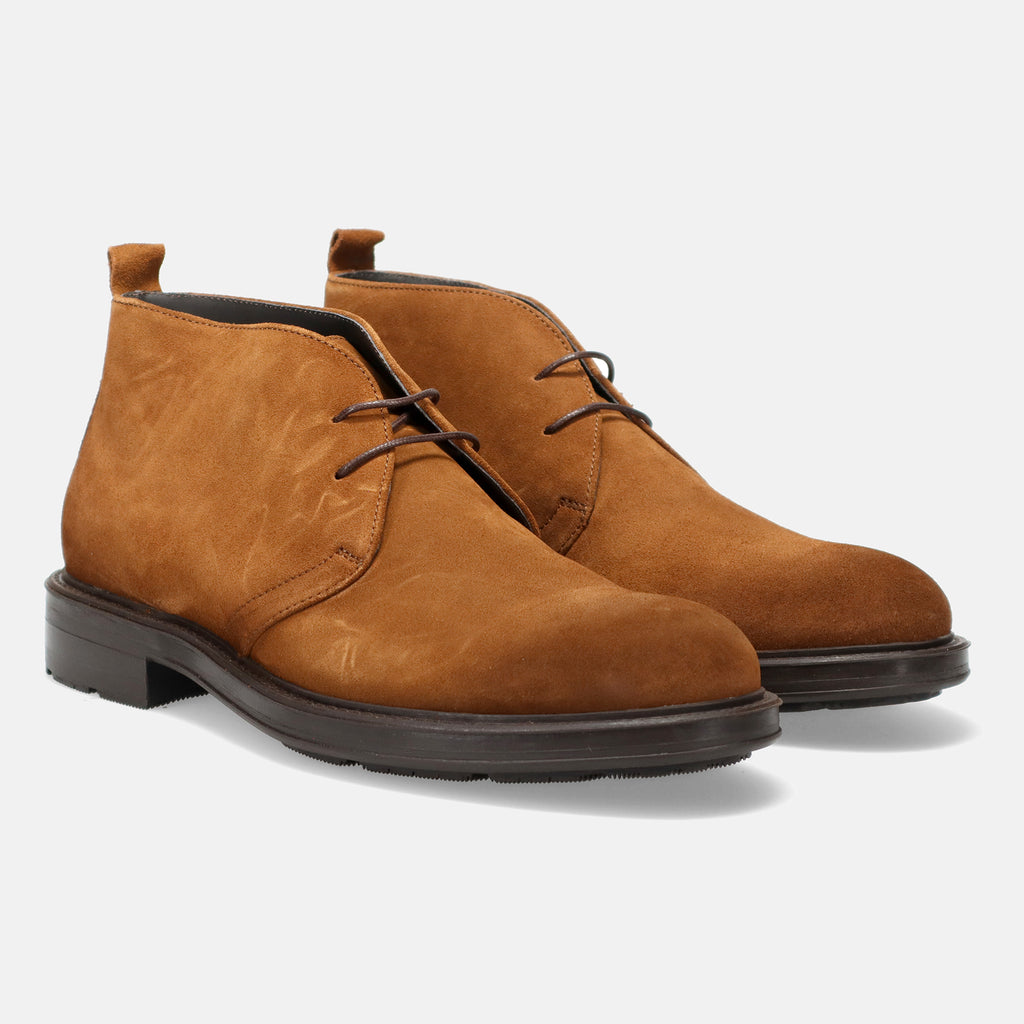 AI22---marco ferretti---17317MFMOSS TAN_1_P