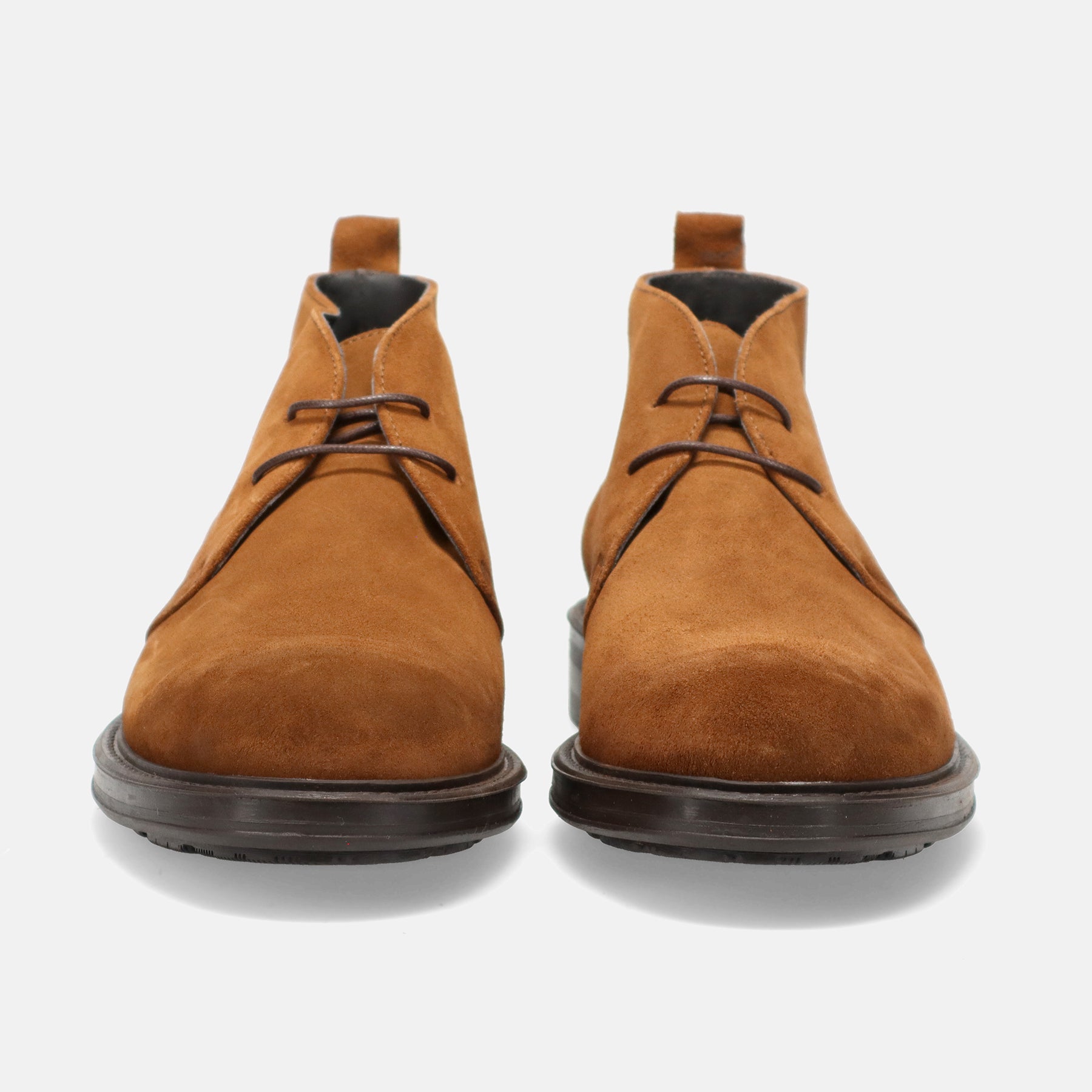 AI22---marco ferretti---17317MFMOSS TAN_2_P