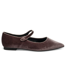 Lea taupe velvet