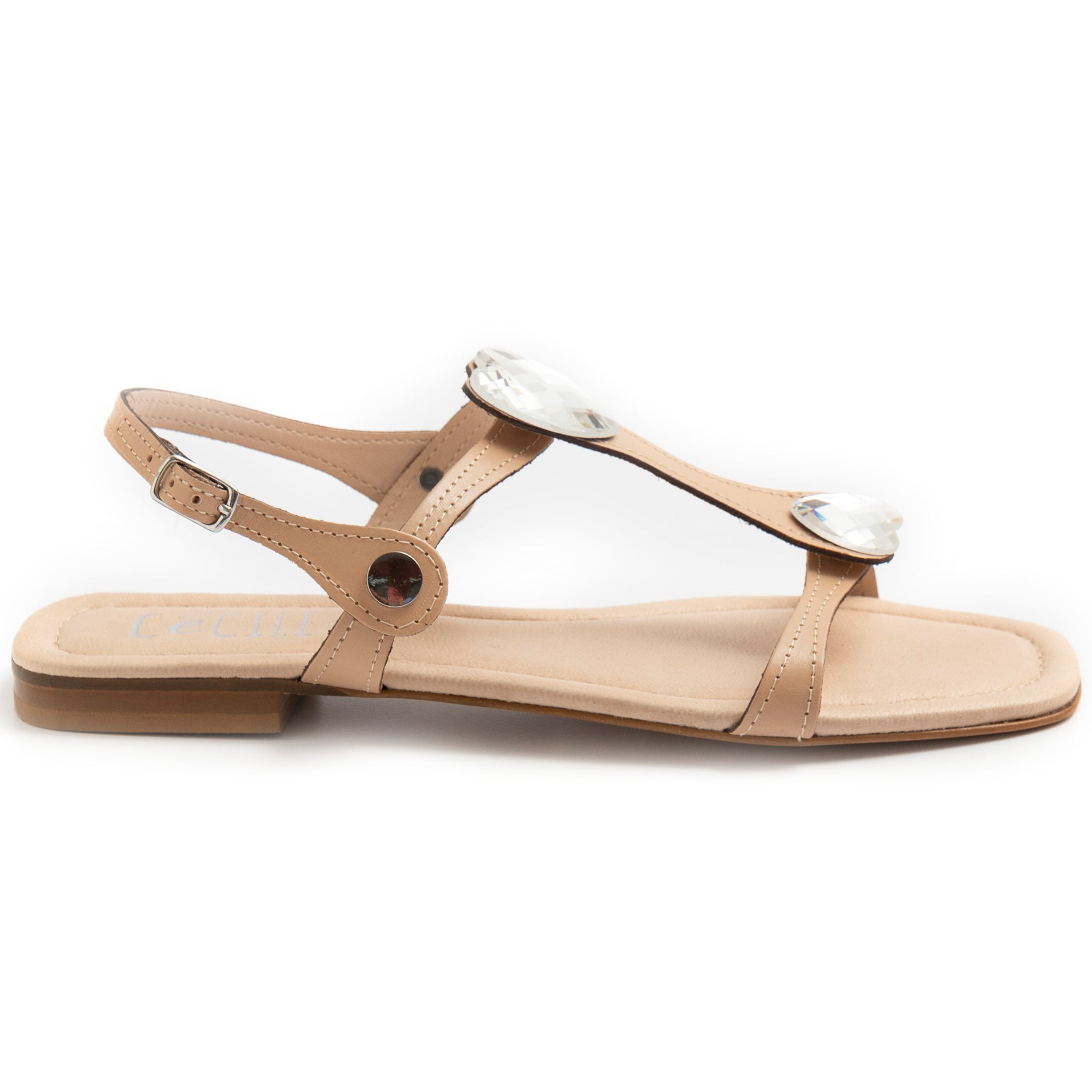 PE21---cecile---2495VACC PLUS 668