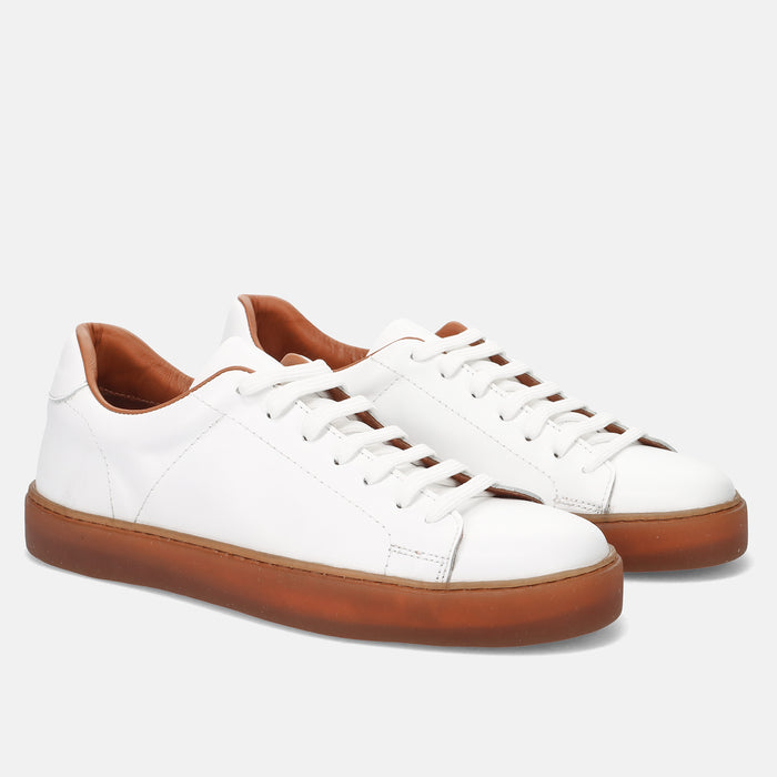 PE24---wexford---275 07POLO BIANCO_1_P