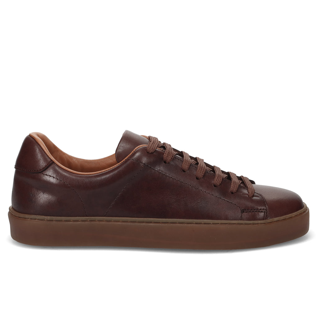PE24---wexford---275 07POLO TAN