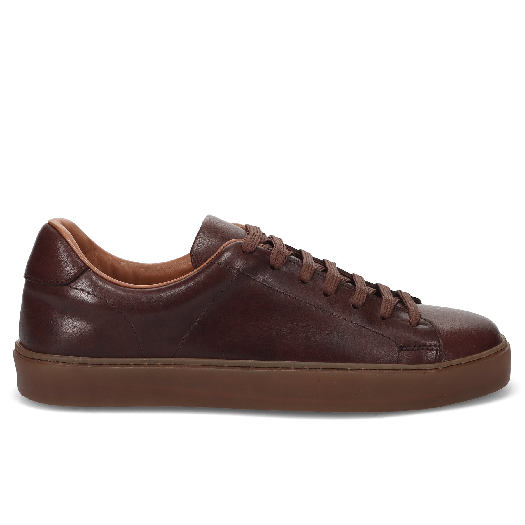 PE24---wexford---275 07POLO TAN