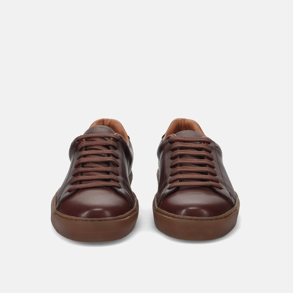 PE24---wexford---275 07POLO TAN_2_P