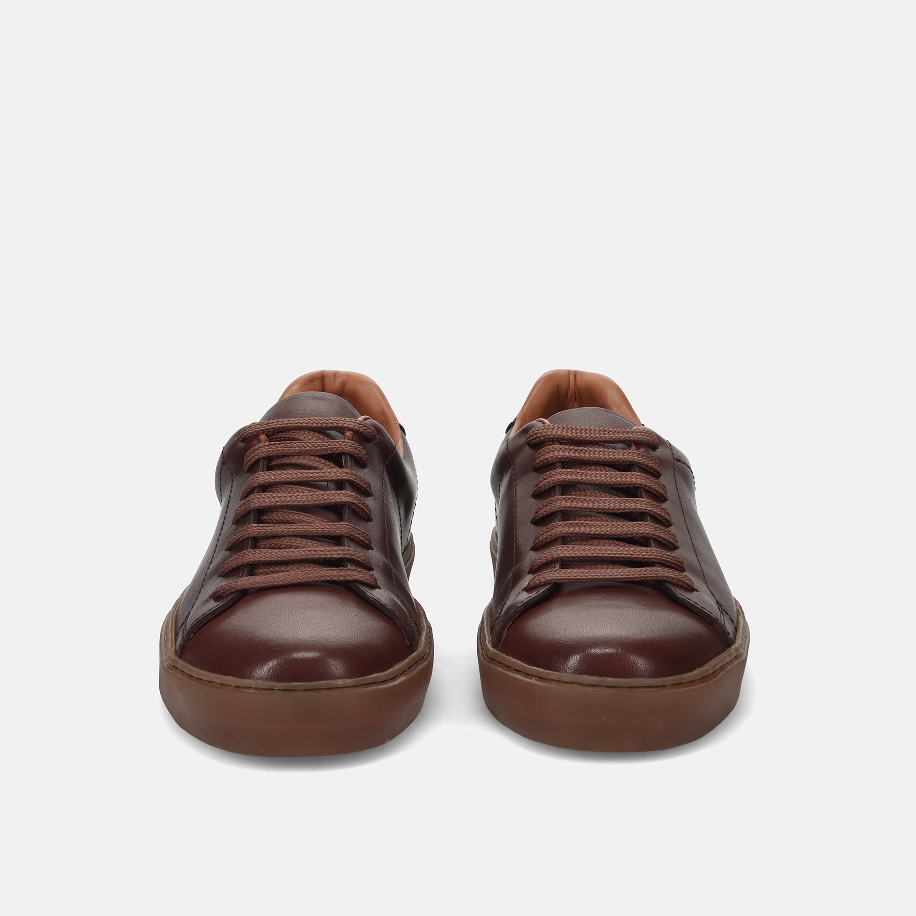 PE24---wexford---275 07POLO TAN_2_P