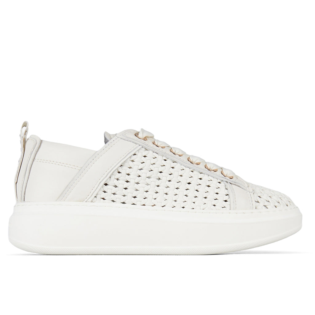 PE26---alexander smith---ASBDWYW0075TWT