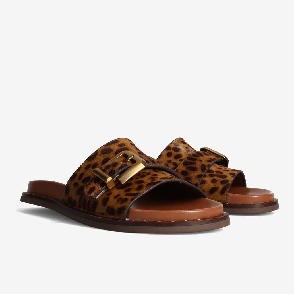 PE26---alpe---5577LEOPARDO_1_P